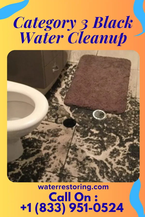 Category 3 Black Water Cleanup in Waymart, PA