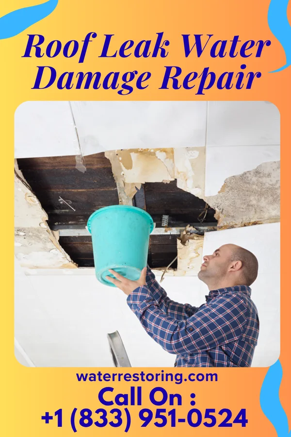 Roof Leak Water Damage Repair in Waymart, PA