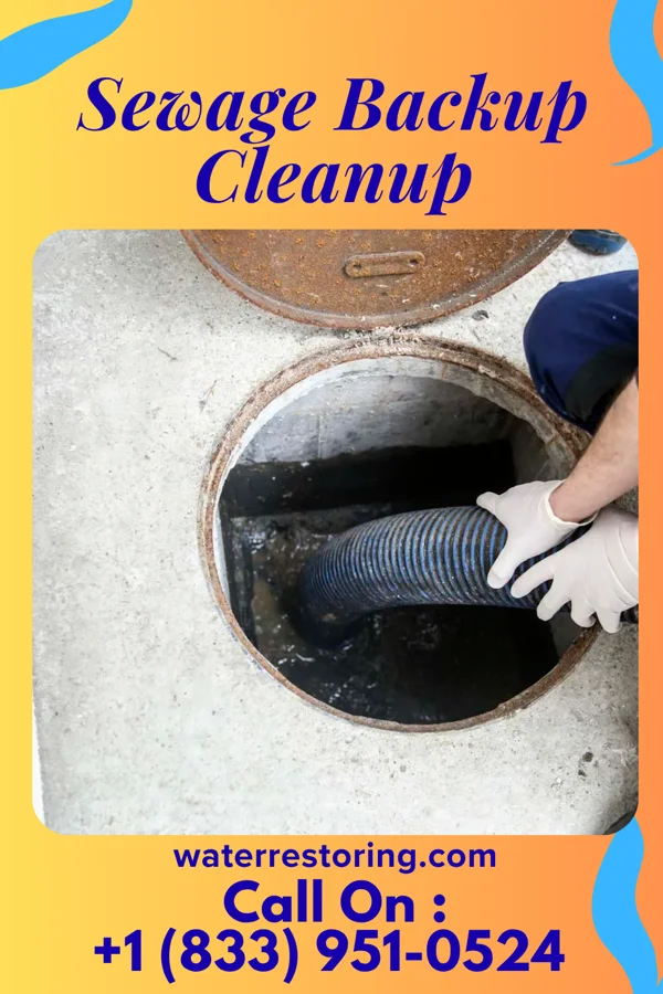 Sewage Backup Cleanup in Waymart, PA
