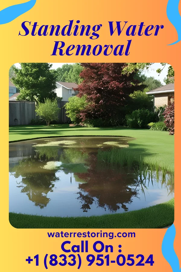 Standing Water Removal in Waymart, PA